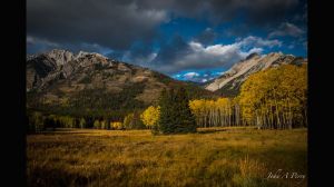 Colorful Mountain Meadow